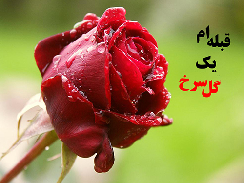 http://up.c60.ir/repository/28436/%D8%B3%D8%A7%DB%8C%D8%AA/ghebleh.jpg