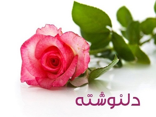 Image result for دل نوشته کنگره 60